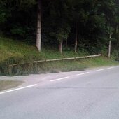 Baum stürtzte auf Pkw