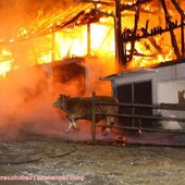 Vollbrand des Stallgebäudes und der Garage