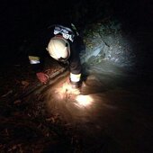 Mehrere Einsätze im gesamten Stadtgebiet nach Unwetter