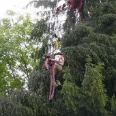 Gefahr am Parkplatz