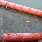 Einsatz an der Salzach