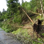 Aufräumarbeiten nach Unwetter