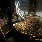 Mehrere Einsätze im gesamten Stadtgebiet nach Unwetter