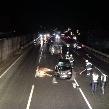 Aufräumarbeiten nach Verkehrsunfall