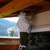 Mehr denn je, wurde die Stadtfeuerwehr St. Johann im heurigen Sommer von zahlreichen Insekten auf Trab gehalten.