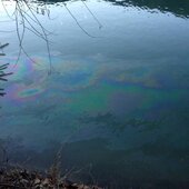 Massive Ölverschmutzung auf der Salzach