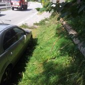 Baum stürtzte auf Pkw