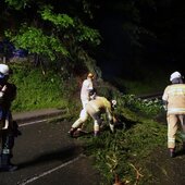 FREIMACHEN VON VERKEHRSWEGEN