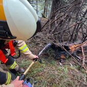 WALDBRAND