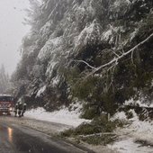 Mehrere Einsätze nach Wintereinbruch