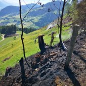 Wiesenbrand in Goldegg