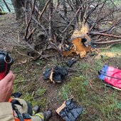 WALDBRAND