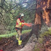 WALDBRAND