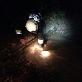 Mehrere Einsätze im gesamten Stadtgebiet nach Unwetter