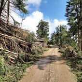 Hochwassereinsätze im gesamten Stadtgebiet