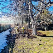 Brand von Gartenabfällen