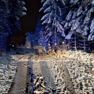 FREIMACHEN VON VERKEHRSWEGEN