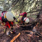 WALDBRAND
