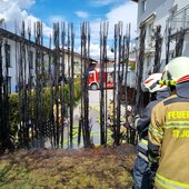 Brand einer Hecke