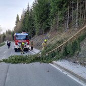 FREIMACHEN VON VERKEHRSWEGEN