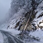 FRERIMACHEN VON VERKEHRSWEGEN